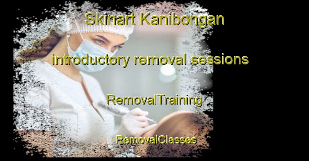 Skinart Kanibongan introductory removal sessions | RemovalTraining | RemovalClasses | SkinartTraining-Malaysia