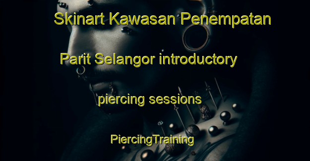 Skinart Kawasan Penempatan Parit Selangor introductory piercing sessions | #PiercingTraining #PiercingClasses #SkinartTraining-Malaysia