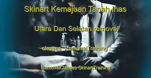 Skinart Kemajuan Tanah Inas Utara Dan Selatan removal classes | #RemovalTraining #RemovalClasses #SkinartTraining-Malaysia