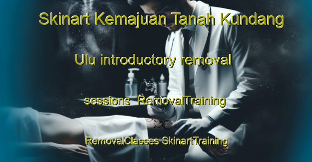 Skinart Kemajuan Tanah Kundang Ulu introductory removal sessions | #RemovalTraining #RemovalClasses #SkinartTraining-Malaysia