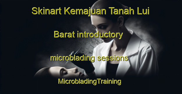 Skinart Kemajuan Tanah Lui Barat introductory microblading sessions | #MicrobladingTraining #MicrobladingClasses #SkinartTraining-Malaysia