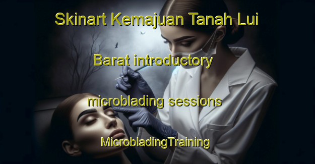 Skinart Kemajuan Tanah Lui Barat introductory microblading sessions | #MicrobladingTraining #MicrobladingClasses #SkinartTraining-Malaysia