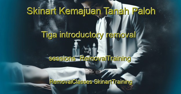 Skinart Kemajuan Tanah Paloh Tiga introductory removal sessions | #RemovalTraining #RemovalClasses #SkinartTraining-Malaysia