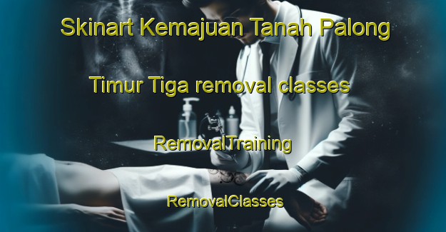 Skinart Kemajuan Tanah Palong Timur Tiga removal classes | RemovalTraining | RemovalClasses | SkinartTraining-Malaysia