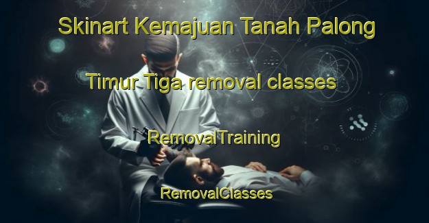 Skinart Kemajuan Tanah Palong Timur Tiga removal classes | RemovalTraining | RemovalClasses | SkinartTraining-Malaysia