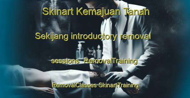 Skinart Kemajuan Tanah Sekijang introductory removal sessions | #RemovalTraining #RemovalClasses #SkinartTraining-Malaysia