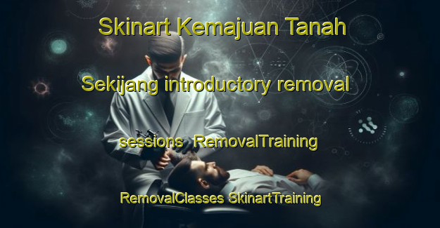 Skinart Kemajuan Tanah Sekijang introductory removal sessions | #RemovalTraining #RemovalClasses #SkinartTraining-Malaysia