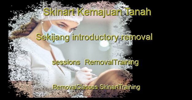 Skinart Kemajuan Tanah Sekijang introductory removal sessions | #RemovalTraining #RemovalClasses #SkinartTraining-Malaysia