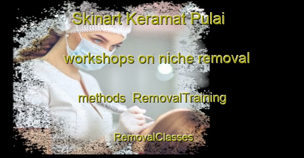 Skinart Keramat Pulai workshops on niche removal methods | RemovalTraining | RemovalClasses | SkinartTraining-Malaysia