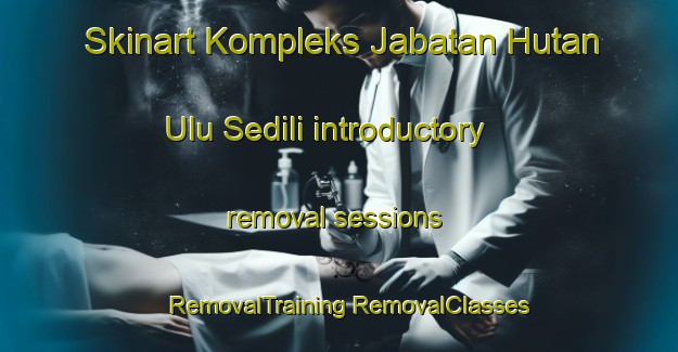 Skinart Kompleks Jabatan Hutan Ulu Sedili introductory removal sessions | #RemovalTraining #RemovalClasses #SkinartTraining-Malaysia