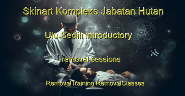 Skinart Kompleks Jabatan Hutan Ulu Sedili introductory removal sessions | #RemovalTraining #RemovalClasses #SkinartTraining-Malaysia