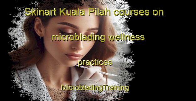 Skinart Kuala Pilah courses on microblading wellness practices | MicrobladingTraining | MicrobladingClasses | SkinartTraining-Malaysia