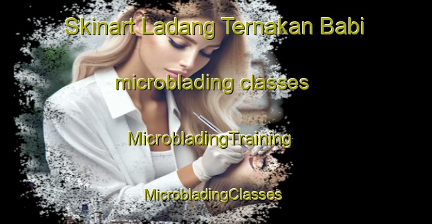 Skinart Ladang Ternakan Babi microblading classes | MicrobladingTraining | MicrobladingClasses | SkinartTraining-Malaysia