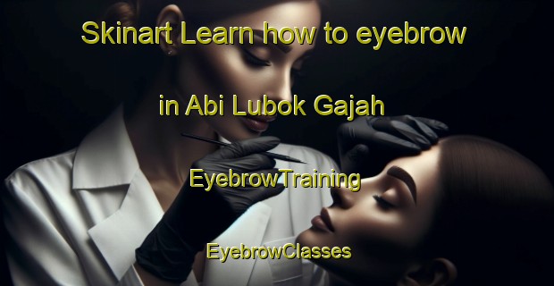 Skinart Learn how to eyebrow in Abi Lubok Gajah | EyebrowTraining | EyebrowClasses | SkinartTraining-Malaysia