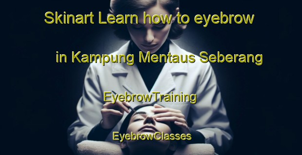 Skinart Learn how to eyebrow in Kampung Mentaus Seberang | EyebrowTraining | EyebrowClasses | SkinartTraining-Malaysia