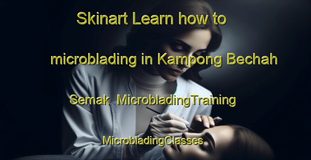 Skinart Learn how to microblading in Kampong Bechah Semak | MicrobladingTraining | MicrobladingClasses | SkinartTraining-Malaysia