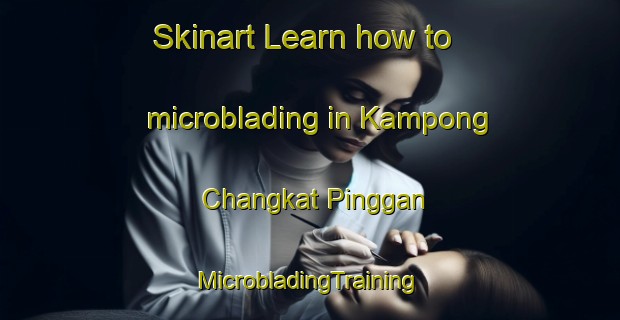 Skinart Learn how to microblading in Kampong Changkat Pinggan | #MicrobladingTraining #MicrobladingClasses #SkinartTraining-Malaysia