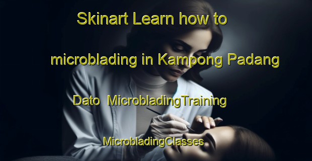 Skinart Learn how to microblading in Kampong Padang Dato | MicrobladingTraining | MicrobladingClasses | SkinartTraining-Malaysia