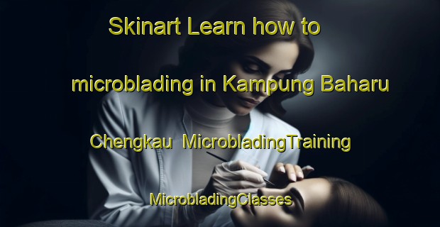 Skinart Learn how to microblading in Kampung Baharu Chengkau | #MicrobladingTraining #MicrobladingClasses #SkinartTraining-Malaysia