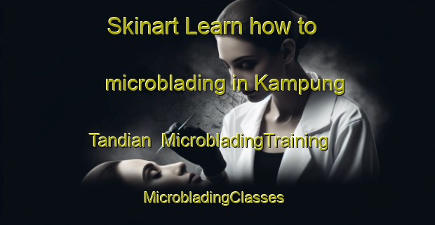 Skinart Learn how to microblading in Kampung Tandian | MicrobladingTraining | MicrobladingClasses | SkinartTraining-Malaysia