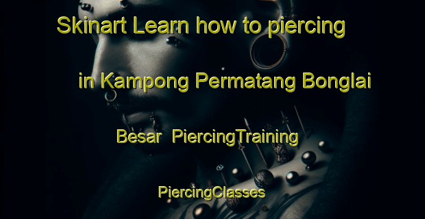 Skinart Learn how to piercing in Kampong Permatang Bonglai Besar | #PiercingTraining #PiercingClasses #SkinartTraining-Malaysia