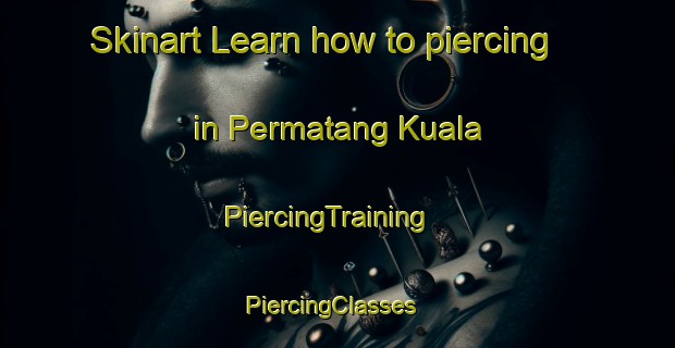 Skinart Learn how to piercing in Permatang Kuala | PiercingTraining | PiercingClasses | SkinartTraining-Malaysia