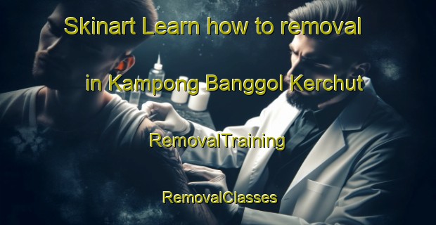Skinart Learn how to removal in Kampong Banggol Kerchut | RemovalTraining | RemovalClasses | SkinartTraining-Malaysia