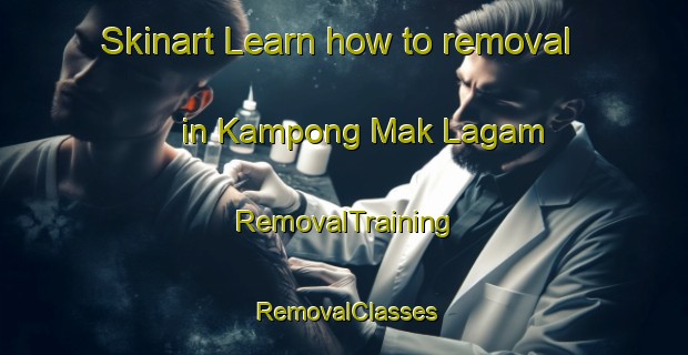 Skinart Learn how to removal in Kampong Mak Lagam | RemovalTraining | RemovalClasses | SkinartTraining-Malaysia