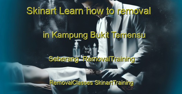 Skinart Learn how to removal in Kampung Bukit Temensu Seberang | #RemovalTraining #RemovalClasses #SkinartTraining-Malaysia