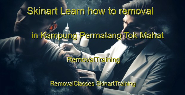 Skinart Learn how to removal in Kampung Permatang Tok Mahat | #RemovalTraining #RemovalClasses #SkinartTraining-Malaysia