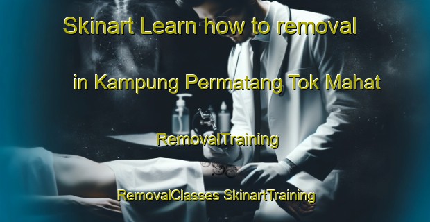 Skinart Learn how to removal in Kampung Permatang Tok Mahat | #RemovalTraining #RemovalClasses #SkinartTraining-Malaysia