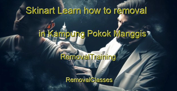 Skinart Learn how to removal in Kampung Pokok Manggis | RemovalTraining | RemovalClasses | SkinartTraining-Malaysia