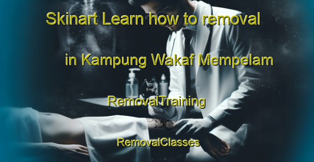 Skinart Learn how to removal in Kampung Wakaf Mempelam | RemovalTraining | RemovalClasses | SkinartTraining-Malaysia