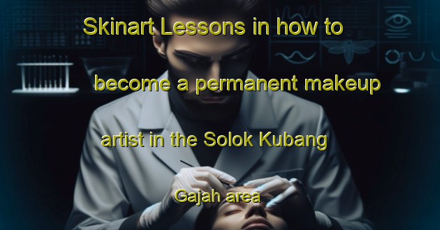 Skinart Lessons in how to become a permanent makeup artist in the Solok Kubang Gajah area | PermanentmakeupTraining | PermanentmakeupClasses | SkinartTraining-Malaysia