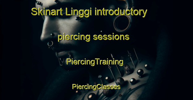 Skinart Linggi introductory piercing sessions | #PiercingTraining #PiercingClasses #SkinartTraining-Malaysia