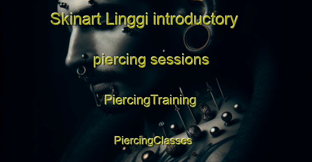 Skinart Linggi introductory piercing sessions | PiercingTraining | PiercingClasses | SkinartTraining-Malaysia