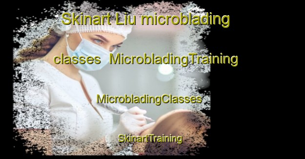Skinart Liu microblading classes | MicrobladingTraining | MicrobladingClasses | SkinartTraining-Malaysia