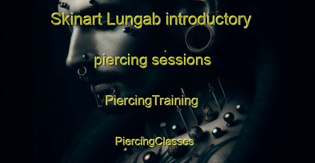 Skinart Lungab introductory piercing sessions | PiercingTraining | PiercingClasses | SkinartTraining-Malaysia