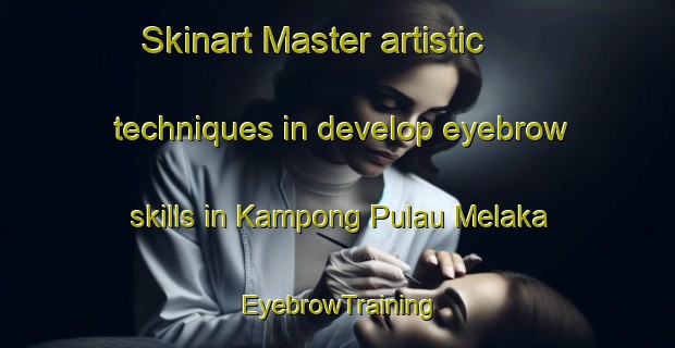 Skinart Master artistic techniques in develop eyebrow skills in Kampong Pulau Melaka | EyebrowTraining | EyebrowClasses | SkinartTraining-Malaysia