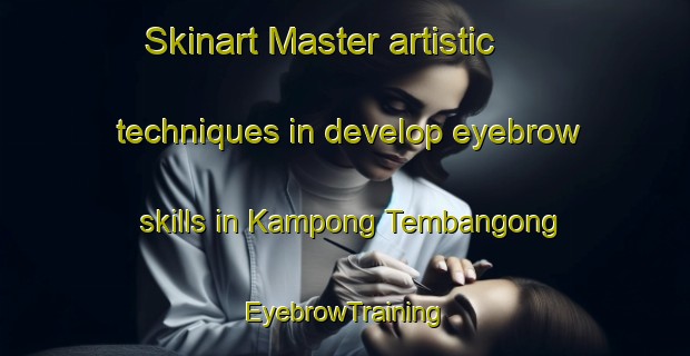 Skinart Master artistic techniques in develop eyebrow skills in Kampong Tembangong | EyebrowTraining | EyebrowClasses | SkinartTraining-Malaysia
