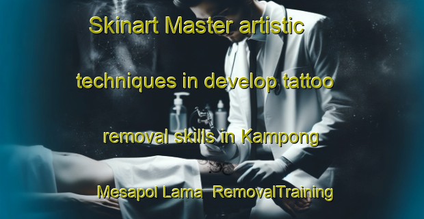 Skinart Master artistic techniques in develop tattoo removal skills in Kampong Mesapol Lama | RemovalTraining | RemovalClasses | SkinartTraining-Malaysia