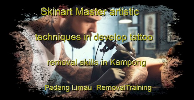 Skinart Master artistic techniques in develop tattoo removal skills in Kampong Padang Limau | RemovalTraining | RemovalClasses | SkinartTraining-Malaysia