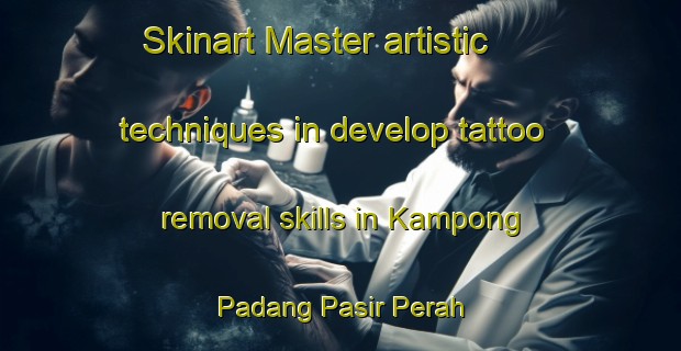 Skinart Master artistic techniques in develop tattoo removal skills in Kampong Padang Pasir Perah | RemovalTraining | RemovalClasses | SkinartTraining-Malaysia