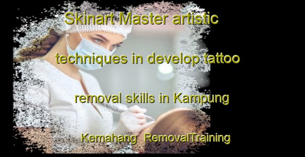 Skinart Master artistic techniques in develop tattoo removal skills in Kampung Kemahang | RemovalTraining | RemovalClasses | SkinartTraining-Malaysia