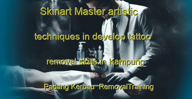 Skinart Master artistic techniques in develop tattoo removal skills in Kampung Padang Kerbau | RemovalTraining | RemovalClasses | SkinartTraining-Malaysia