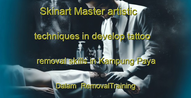 Skinart Master artistic techniques in develop tattoo removal skills in Kampung Paya Dalam | RemovalTraining | RemovalClasses | SkinartTraining-Malaysia