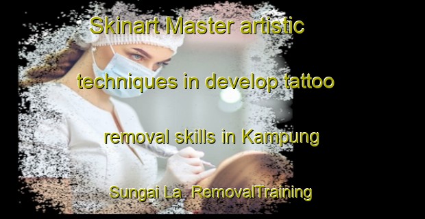Skinart Master artistic techniques in develop tattoo removal skills in Kampung Sungai La | RemovalTraining | RemovalClasses | SkinartTraining-Malaysia