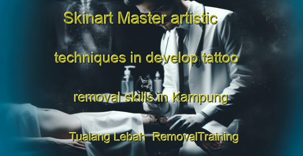 Skinart Master artistic techniques in develop tattoo removal skills in Kampung Tualang Lebah | RemovalTraining | RemovalClasses | SkinartTraining-Malaysia