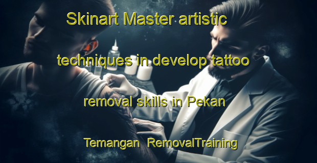 Skinart Master artistic techniques in develop tattoo removal skills in Pekan Temangan | RemovalTraining | RemovalClasses | SkinartTraining-Malaysia