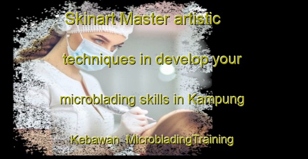 Skinart Master artistic techniques in develop your microblading skills in Kampung Kebawan | MicrobladingTraining | MicrobladingClasses | SkinartTraining-Malaysia